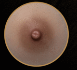 Top-Sino TYPEグラビア|実践向け T1Fヘッド T1230 一体化シームレス仕様 使いやすい 宣材写真のはRRS+メイク Artist Makeup選択可能 高級ラブドール