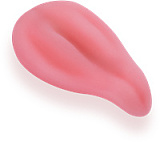 Fanreal Mariaヘッド 170cm Gカップ シームレスダッチワイフ リアル皮膚付き 高身長 ROS機能付きフルシリコン製セックスドール