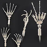 MW Girl(魔物姫)  天使萌ヘッド 85cm バスト中 萌え系アニメラブドール 青い瞳 宣材写真通のはシリコン製ボディー 宣材写真と同じ制服も付属