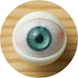 Myloliwaifu Hikariヘッド 150cm Aカップ エルフ風デザインの可憐なラブドール 清楚な少女 ROS機能付き 職人メイク選択可能 可愛い系フルシリコンダッチドール