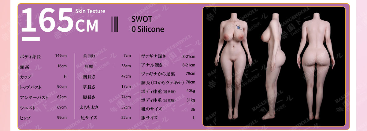 リアルドール evasdoll 165ボディの三面図&スペック一覧4