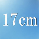 Evasdoll 伊菲Yifeiヘッド 168cm Gカップ フルシリコン製 ぽっちゃり系ラブドール 等身大ダッチワイフ