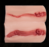 【アートワークカスタム版】Topsino TYPEグラビア T46ヘッド 96cmHカップ トルソー ケンタウロス風ダッチワイフ TYPEグラビア|実践向け 高級 エロ