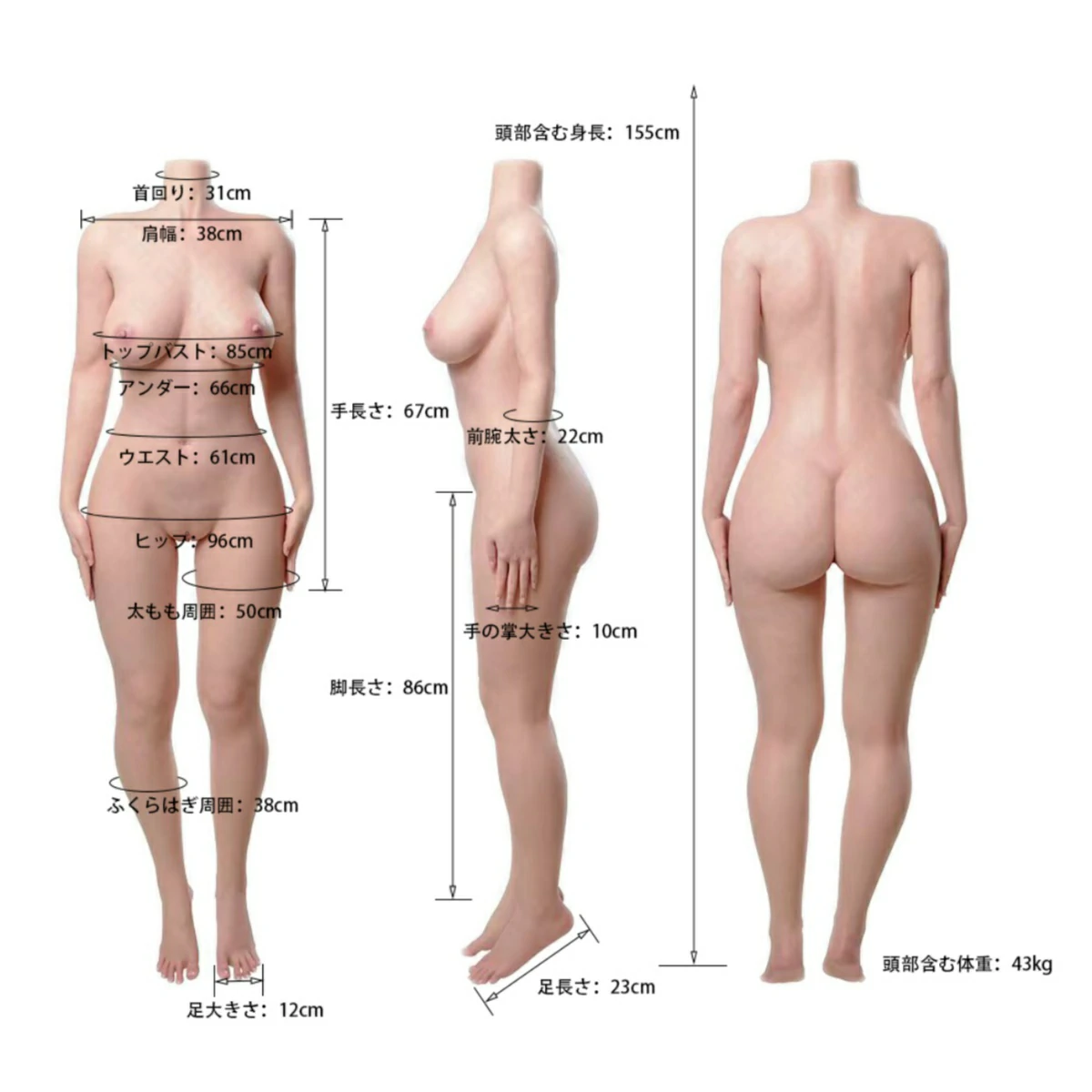 上原亜衣 ラブドール 三面図情報 スペック