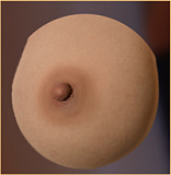 AJLDOLL 佳美（Jiamei）ヘッド 大人女性モデル 等身大ラブドール 168cm Gカップ 超軽量ボディ BBW体型 超擬真肌テクスチャー フルシリコンドール