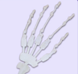 MMXDOLL 小橘子（Xiaojuzi）ヘッド 165cm等身大 Fカップ セクシー系  宣材写真は職人Art系メイクク①  フルシリコン製ダッチワイフ