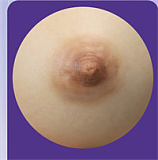 MMXDOLL 夢婷ヘッド 116cm Fカップ 超擬真肌テクスチャー 宣材写真のは職人Real系メイク ほんのりエロ可愛い トルソーアダルトドール