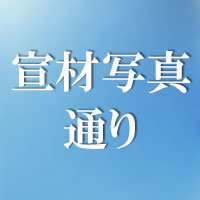 XYGO(许愿谷) ヘッド単体専門ページ シリコン製・ビニール製ヘッドが選択可能 カスタムメ