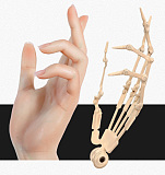 Doll Senior 初々しい処子 弥耶(Miye)ヘッド 148cm Cカップ ヘッドとボディの材質選択可能 宣材写真のはフルシリコン ラブドール