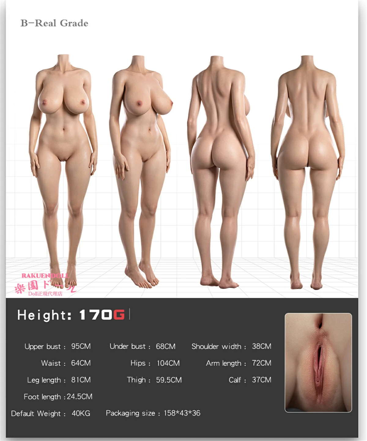 170Hカップ doll senior 三面図 スペック ラブドール　