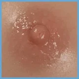 TOP-CYDOLL Irisヘッド Fカップ 168cm 小顔 美人 ドール 宣材写真のは硬めヘッド フルシリコン製ボディ クール系ラブドール