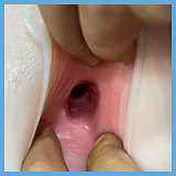 蛍火日記  琉璃（Liuli）ヘッド 159cm Eカップ メイク⑤ シリコンヘッド＋TPEボディー  リアル人形  蛍火ラブドール