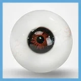 TOP-CYDOLL 22.2kgのみ Elva-Sヘッド 150cm Cカップ ミニギャル風のラブドール 宣材写真のはフルシリコン製のリアル高級ダッチワイフ