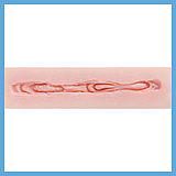 蛍火日記 ピュアな二十代美少女 西风（xifeng）新メイク③ 165cm Cカップ 清純派ラブドール 顔立ち フルシリコン製 JKラブドール