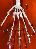 GC03ヘッド & 132cm AA-cup ビニールヘッド+TPEボディ Guava doll