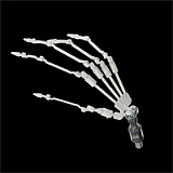 【irontechdoll 2026.5月31日まで140,000円割引き】二つ目ヘッド+ROS-MAX機能無料（一つ目ヘッド限定）+関節手指+足指関節+ゼリー胸+ゼリー尻+ハードハンド+ハードフィート+ヴァギナの柔らか仕上げ+M16ジョイントなど無料 リアルラブドール フルシリコン製ラブドール 等身大 エッチドール