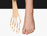 Doll Senior 下半身トルソー S45 109cm 約23kg オナホール リアル皮膚付き 宣材写真はフルシリコン製アダルトドール トルソー