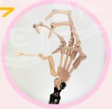 【即納・16体残り・日本倉庫在庫・最速2-3日届ける】 JSL DOLL 85cm 宣伝画像のヘッド tpe/s-tpe/シリコンボディ選択可能 ソフトビニール製ヘッド 癒し系可愛い娘アニメラブドール ヘッドと衣装自由に組合 宣伝画像と同じ制服も付属