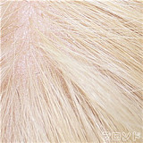 LACE DOLL 白草ヘッド 168cm Eカップ 等身大エロ可愛い美少女アダルト人形 宣材写真のはフルシリコン製