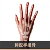 Real Girl | RainStorm别注品 猫（ねこ）ヘッド 153cm-Iカップ 清純可憐女子大学生っぽいダッチワイフ 宣伝画像フルシリコン製