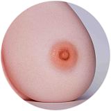Erovenus Maxシリーズ Sydneyヘッド LN-T-003トルソーボディ Fカップ 金色巻き髪欧米風肉感美人ダッチワイフ トルソーオナホ フルシリコン製 口開閉+模擬口腔付き