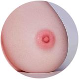 Erovenus Maxシリーズ Kellyヘッド LN-T-003トルソーボディ Fカップ 美人顔ぽっちゃり成熟した感じダッチワイフ トルソーオナホ フルシリコン製 口開閉+模擬口腔付き