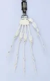 FUdoll 小秋ヘッド 80cm Kカップ 眼鏡美人 トルソー系 宣材写真は口開閉機能+リアル口腔付き フルシリコン製等身大リアルドール