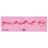 Real lady R17ヘッド 168cm Gカップ 知性のメガネ美人 超リアルな肌の質感 有名モデルの型取り 高級 エレガント シリコン製アダルトドール 塗装加工あり 眉毛と睫毛植毛加工あり