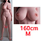 シリコンボディ160cm M