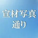 蛍火日記 Maxシリーズ 玲珑（linglong）⑧メイク 158cm Fカップ リアル皮膚付き 儚げ美人系ラブドール