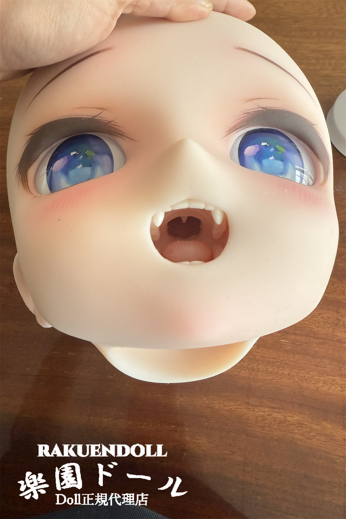 ラブドール WMdoll Y019ヘッド リアル口腔構造 ドール