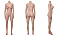 145cm Bカップ（シリコン）