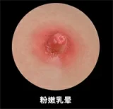 Himeking Doll 雪姫ヘッド 50cm 爆乳 触手プレー 淫ら淫靡的オーラル機能付き上半身トルソーリアルドール シームレス仕様 フルシリコン製 リアル皮膚付きボディ 宣材写真はROS機能付き