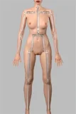 Himeking Doll ボディ単体カスタマイズページ リアル皮膚付きボディ ぽっちゃりラブドール フルシリコン製  高級ダッチワイフ