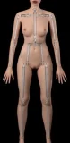 【Normalシリーズ】Yuluoclub（御蘿社） 清灵ヘッド 158cm Iカップ 銀髪狐娘ダッチワイフ フルシリコン製
