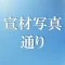 宣伝写真通りの植毛