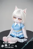 Kiradols #AW301 奇娜ヘッド 50cm 猫娘 二次元 ラブドール