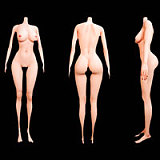 Evasdoll ボディのみ シリコン製ラブドール 超リアルメイク付き カスタマイズ専門ページ 豊満系等身大リアルドール