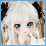 【JSL DOLL アニコレ VOL.4 静岡 開催記念 11月8日まで15%OFF 特別割引クーポン5,000円割引！】 ヘッドとボディ自由に組み合わせ カスタマイズ専門ページ 120cmボディと組み合わせ 低身長 アニメ風 リアルドール