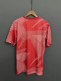 22/23 Japan pre-competition Fans 1:1 Quality Soccer Jersey