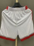 NBA Raptors Hot pressing Shorts 1:1 Quality