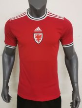 22/23 Wales Home Fans Version 1:1 Quality Soccer Jersey