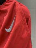 NBA Raptors Hot pressing Shorts 1:1 Quality