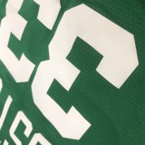 NBA Celtics Retro Green 33 Larry Bird with chip 1:1 Quality