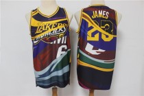 NBA Lakers James' team mix 1:1 Quality