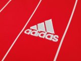 2015-2016 Wales Home 1:1 Quality Retro Soccer Jersey