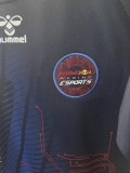 2021 F1 Red Bull Gaming Edition Short Sleeve Racing Suit 1:1 Quality