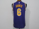 NBA Lakers # 6 James award purple 1:1 Quality