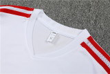22/23 Bayern Munich Training Kit White 1:1 Quality Training Jersey