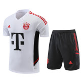 22/23 Bayern Munich Training Kit White 1:1 Quality Training Jersey